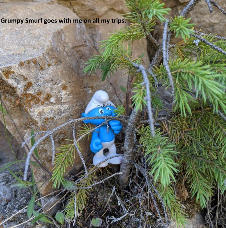 This image has an empty alt attribute; its file name is Smurf.jpg